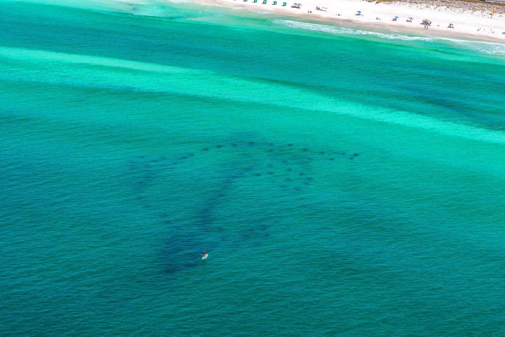 Stay Anchored Destin Esterno foto